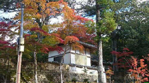 rblog-20151103184740-00.jpg
