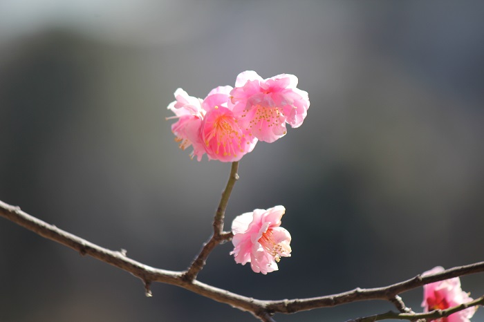 2015.2.132.jpg
