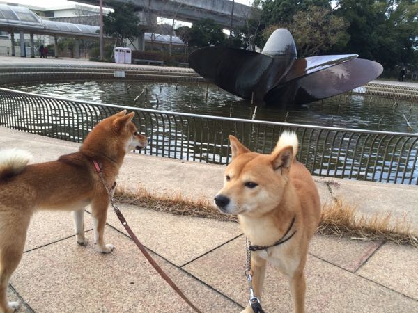 rblog-20160122223436-05.jpg
