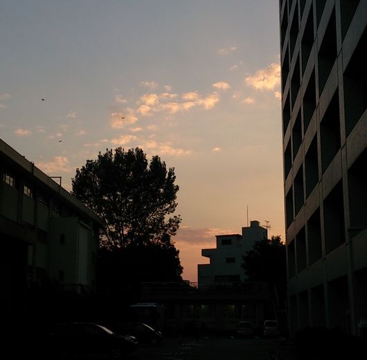 ビルの合間の夕焼け