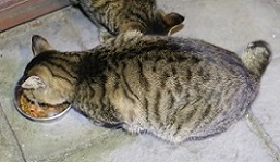 5DA_9566-29.jpg