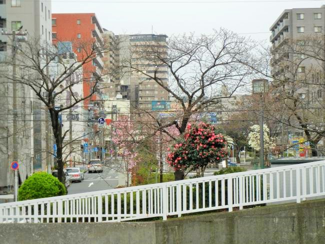 DSCN5210.JPG