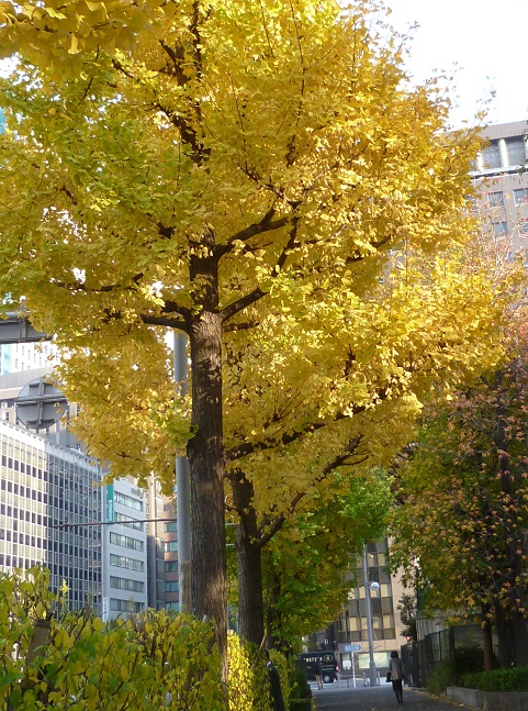 P1270479画像3.jpg