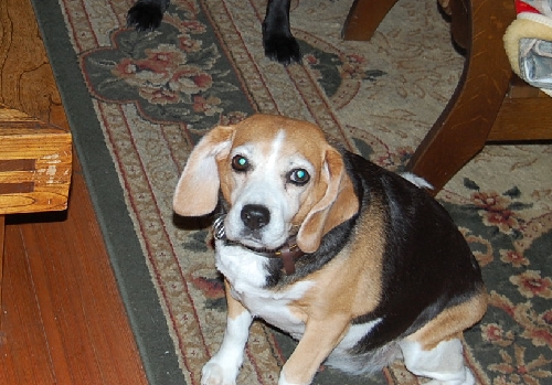 DSC_0031.JPG