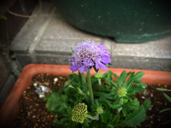 rblog-20161226172004-01.jpg