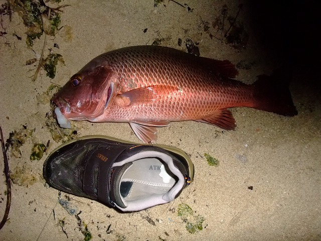 DSCF9150.JPG