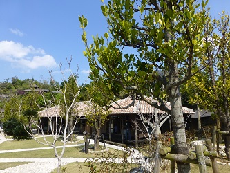 P1030497111.jpg