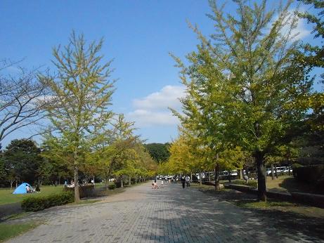 DSCN5208.jpg