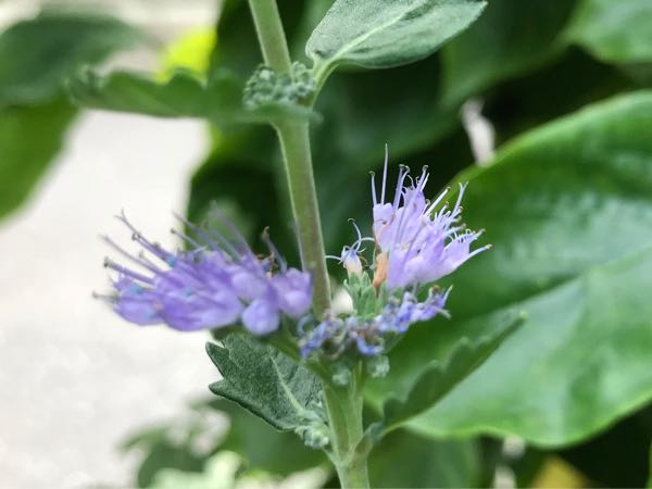 rblog-20180628172024-08.jpg