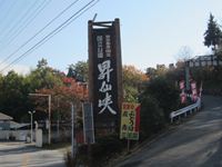 IMG_3871_R.JPG