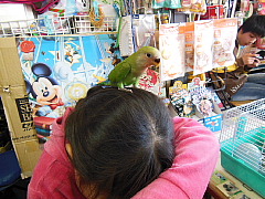 conv0401.JPG