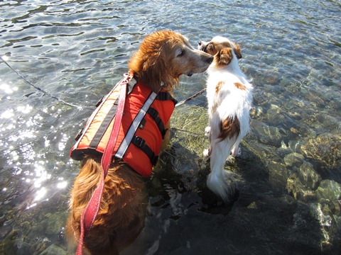 2012-0826-13.jpg
