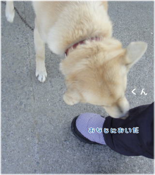 トムちゃんチェック3.jpg