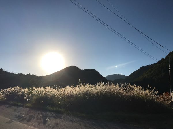 rblog-20161028063228-03.jpg