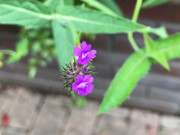 rblog-20180624175900-02.jpg