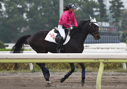 20151123_1417BonnevilleRecord_07