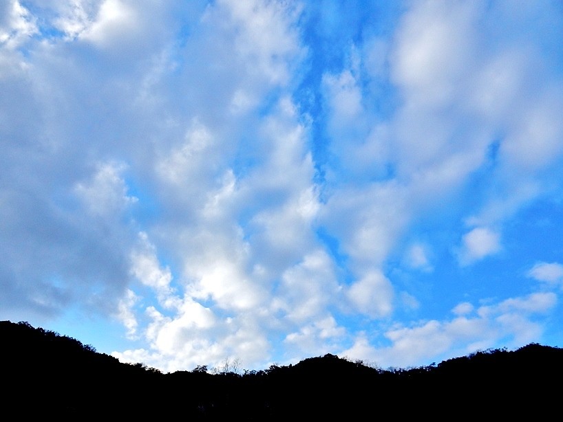 空4.JPG