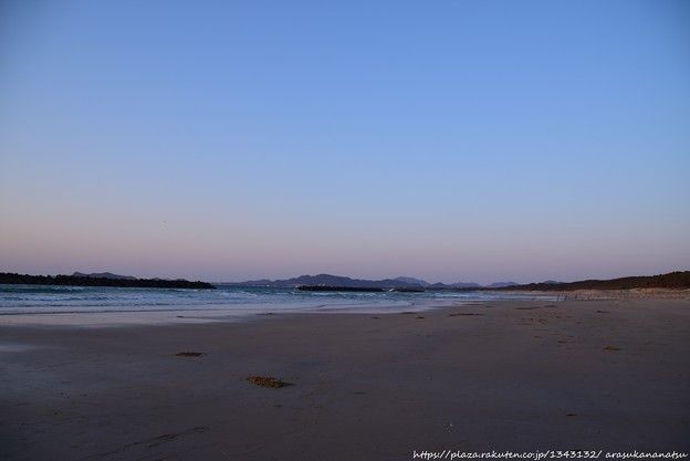 声を出して数を数えるカラスの驚くべき能力