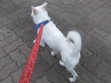 DSCF6329.JPG