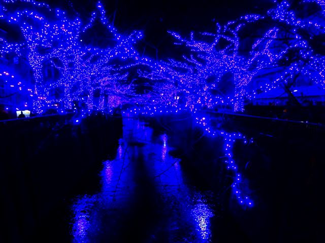 DSC08906_R.JPG