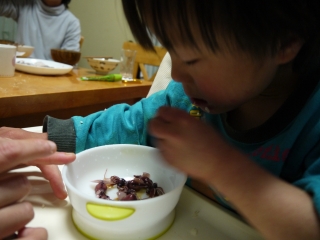 ホタルイカを食べるひろくん