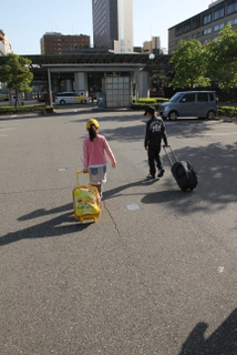 naraiki003