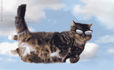 flyingpuss.gif