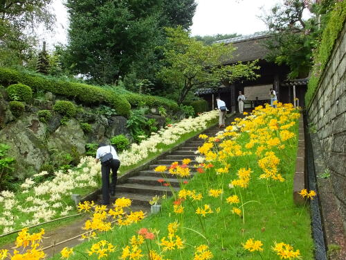 西方寺にて