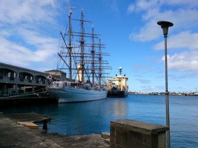 DSC_8816.jpg