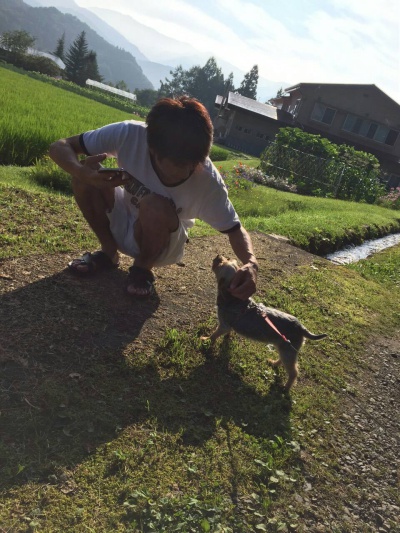 愛犬と