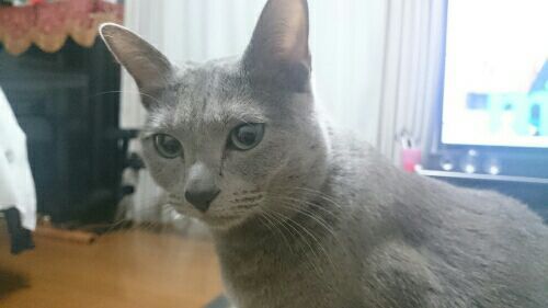 rblog-20180123065545-02.jpg