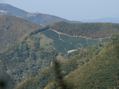 スパッと切り取られたかのように