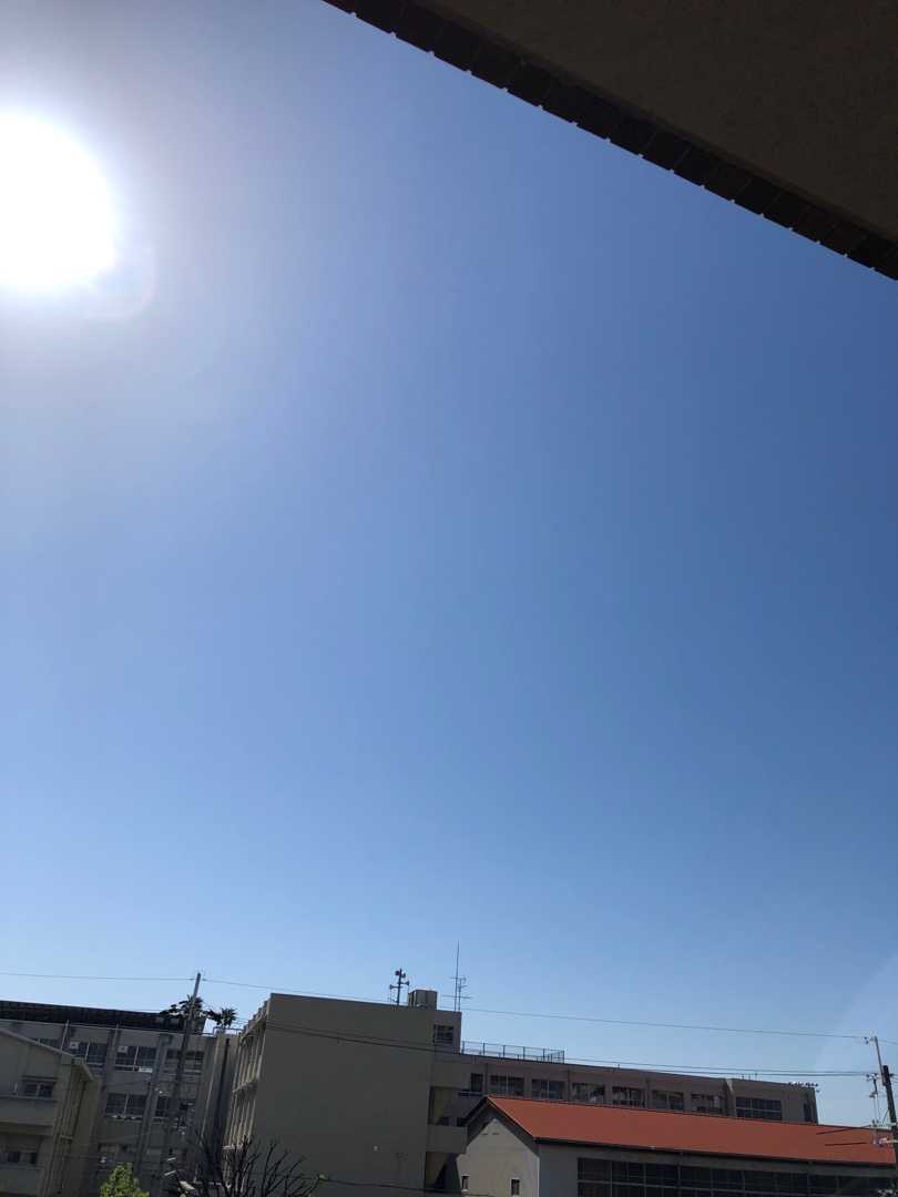 気持ちのいい朝 Haruruの部屋 楽天ブログ