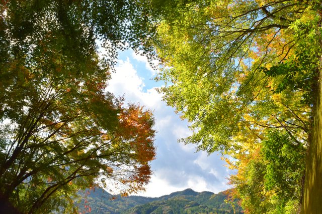 羅漢寺