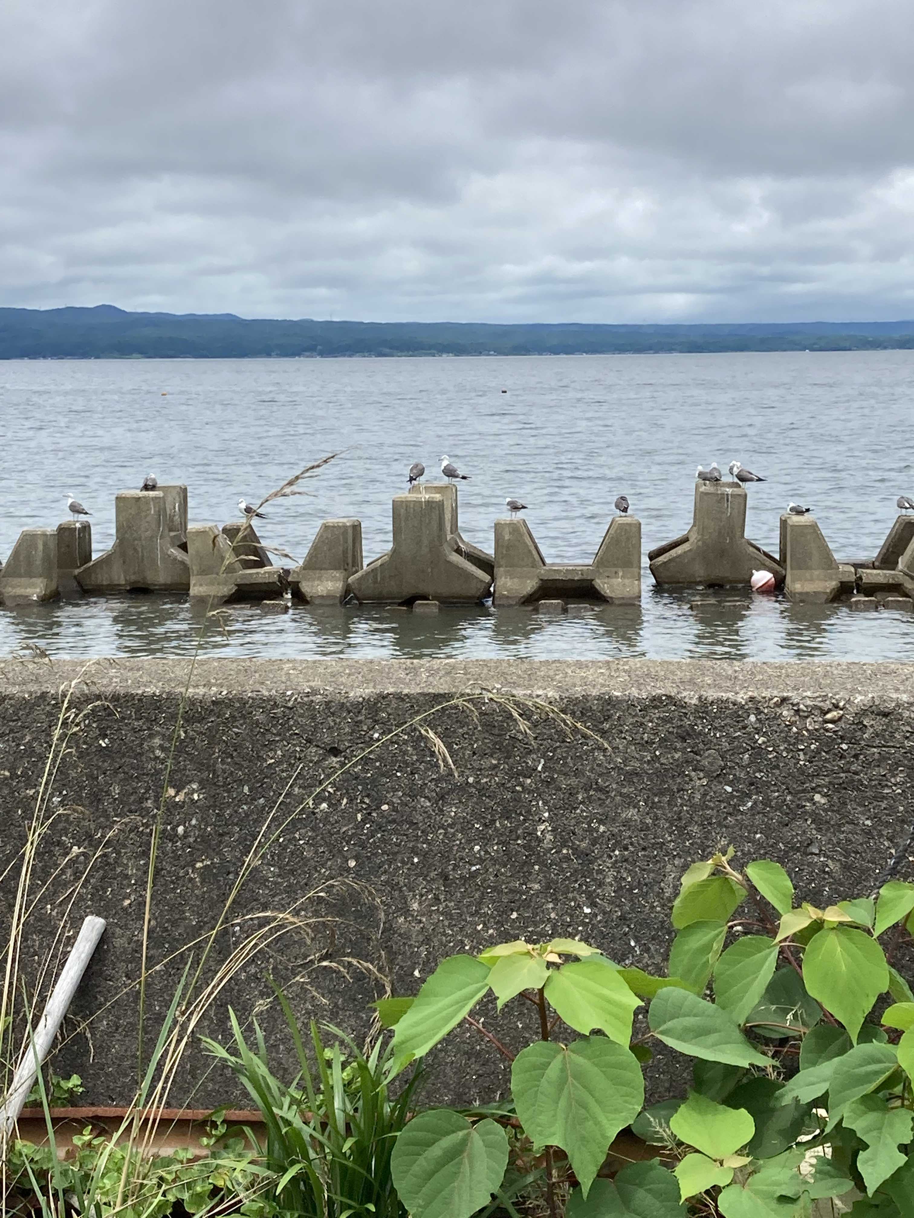 歩璃の日常 釣り‪🎣‬時々キャンプ🏕