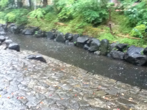 小松川境川親水公園02