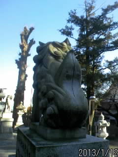門前の狛犬さま２