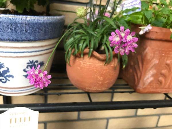 rblog-20180429183115-01.jpg