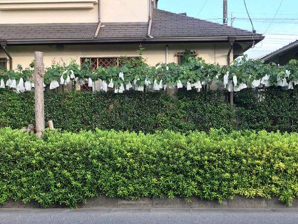 rblog-20180624181444-00.jpg
