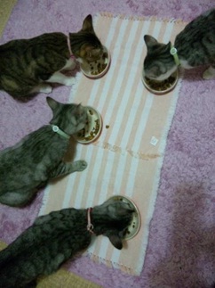 20120709_3.jpg