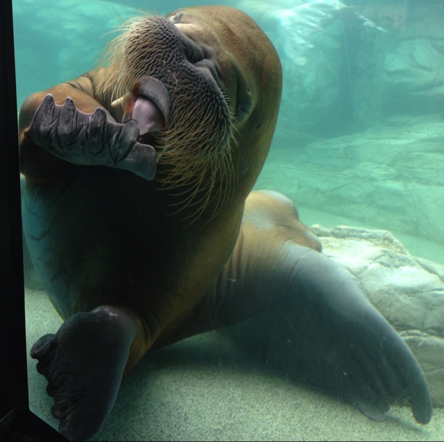 rblog-20130725122653-03.jpg