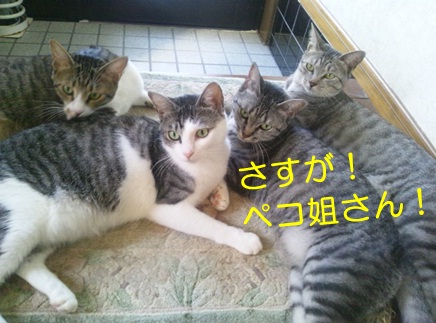 20120910_5.jpg