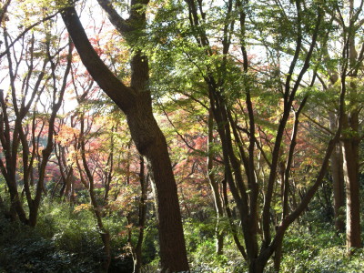 IMG_0001_82.jpg