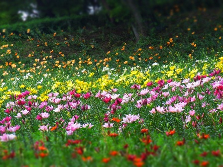 2012_0624_175853-RIMG0173 3.jpg