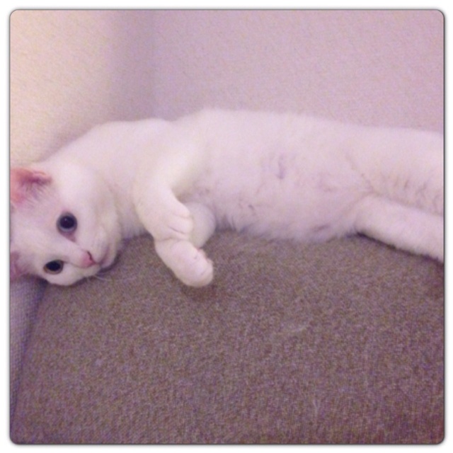 rblog-20130604015914-02.jpg