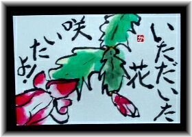 いただいた花咲いたよ！