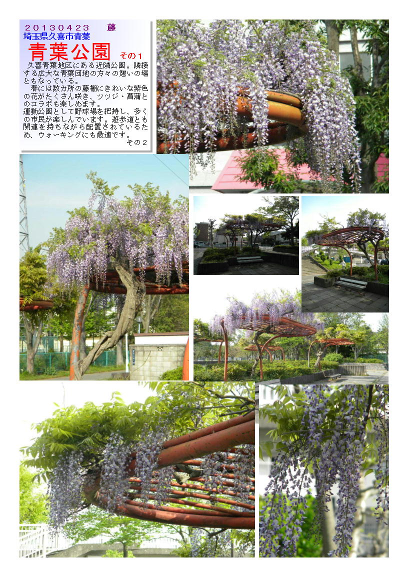 20130423aobakouen1-2-fuzi.jpg