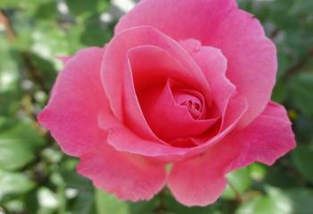 DSC04840_convert_20170514150631.jpg