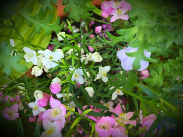 rblog-20160430165450-08.jpg