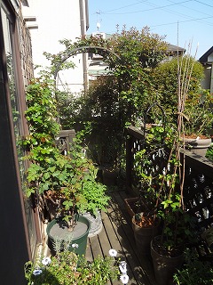 DSC04891.jpg
